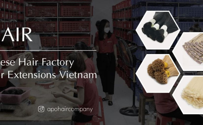 Apohair | #1 Vietnam Hair Factory